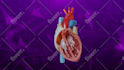 create 3d medical animation with high quality rendering