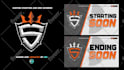 design animated custom twitch overlays,facecam and full stream