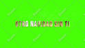 create gold silver particles title and text animation in 24 hours