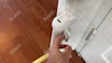make an amazon influencer shoppable video for your product