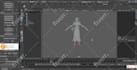do professional 3d rigging in blender and maya