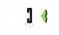 create a professional and custom logo animation