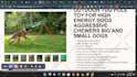 fix meta pixel or set up facebook pixel conversion API with server side tracking