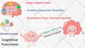 create whiteboard explainer video for your youtube