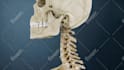 enhance patient education with 3d medical animations