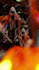 do 3d abstract art 3d abstract animation 3d illustration