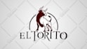 create a professional custom logo animation in 24 hours