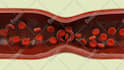 create professional 3d medical animation, surgical animation, scientific visuals