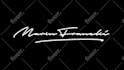 create animated handwritten signature or text logo animation