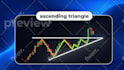 create professional  motion graphics and  video production