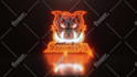 create professional neon sign intro logo animation video in 12hrs