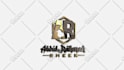 create a custom professional logo animation