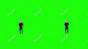 remove green screen,video effect cleanup, replace screen,background removal,etc
