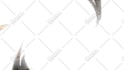 blur or censor anything in your video or photo