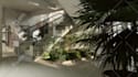 do photorealistic interior renderings and design