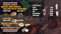 design a colorful TV menu, digital menu, and animated menu