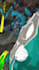 professionally edit your gorilla tag shorts