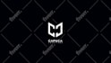 create custom logo animation or motion graphics