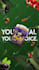 make cool motion graphics and animation