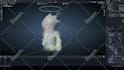 rig your 3d model in blender for game engines or animation