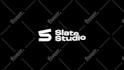 create a custom professional logo animation