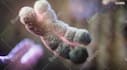 create product, medical, science 3d animation film