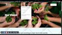 fix wordpress errors, bugs, CSS, PHP, and HTML issues