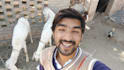 wish happy birthday and sing song with my goats