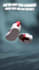 create short product 3d animation