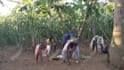 do african dance video for any song u want