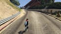 make both gta 5 and fivem ped, prop, animal ped, also do modifications