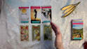 give you a detailed tarot reading with clear answers