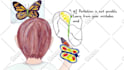 create animated childrens book promotion trailer video