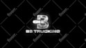 do professional logo animation youtube intro video in 24h