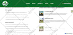 design, redesign webflow website, figma to webflow, webflow expert