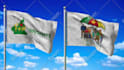 make a flag animation with your logo or text in 24 hours