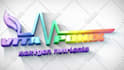 do animated logo animation and animated intro video