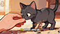 animated cat explainer videos like felune