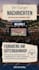 create professional editable canva designs for your business