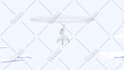 do traditional 2d frame by frame animation and anime style