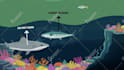 create science and educational 2d animation videos for youtube