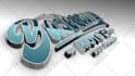 create a professional 3d logo animation intro video in 24 hours