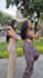 create a couple dance for your song