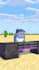 created minecraft 3d animation