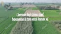 create a cinematic looking lyric video for your song
