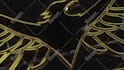 create luxury 3d diamond logo animation