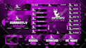 design custom animated twitch overlay, stream package, and logo