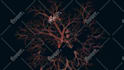 edit last of us like title sequence intro