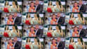 create professional wedding and birthday photo slideshow