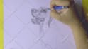 draw line drawing or pencil sketch illustrations